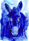 Poster "Ink Donkey"